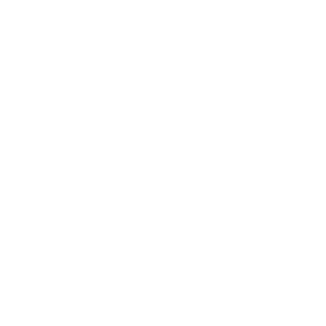 Ruger_white